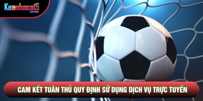 Cam kết tuân thủ quy định sử dụng dịch vụ trực tuyến
