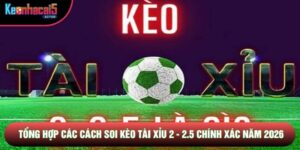 Tổng Hợp Các Cách Soi Kèo Tài Xỉu 2 - 2.5 Chính Xác Năm 2026