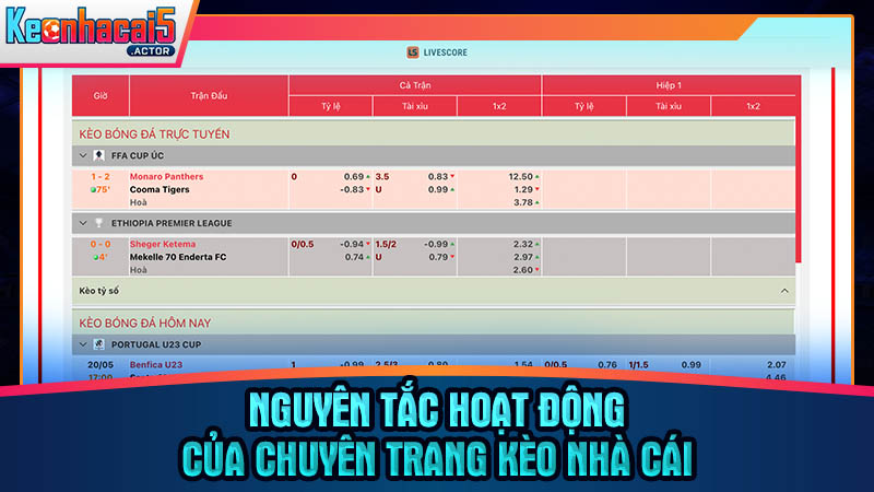 Giá trị cốt lõi và cam kết vận hành của hệ thống