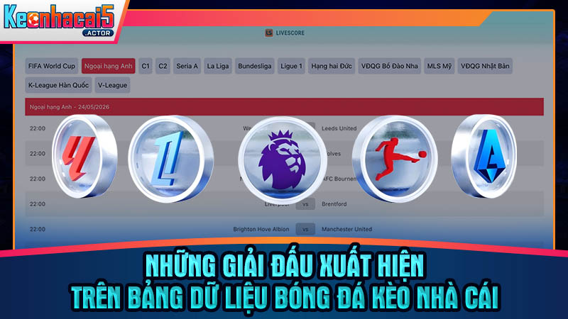Danh mục các giải đấu được hỗ trợ trên bảng số liệu