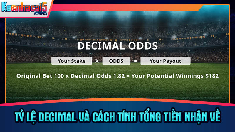 Hướng dẫn tính toán lợi nhuận qua tỷ lệ Decimal