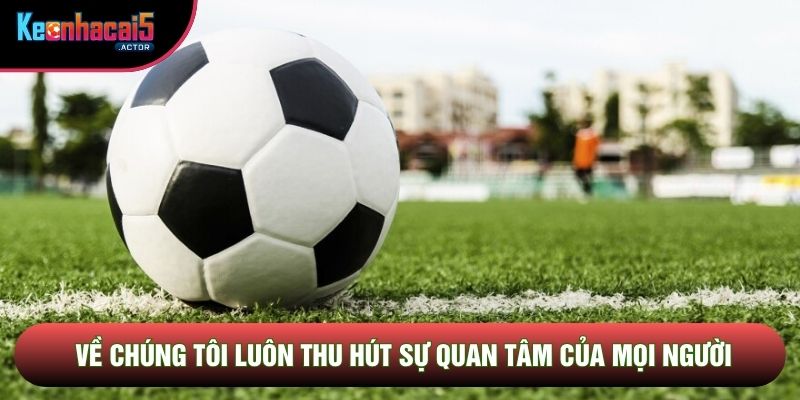 Về chúng tôi luôn thu hút sự quan tâm của mọi người
